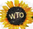 Сельскому хозяйству России предстоит пройти чрезвычайно сложный и рискованный путь адаптации к требованиям ВТО